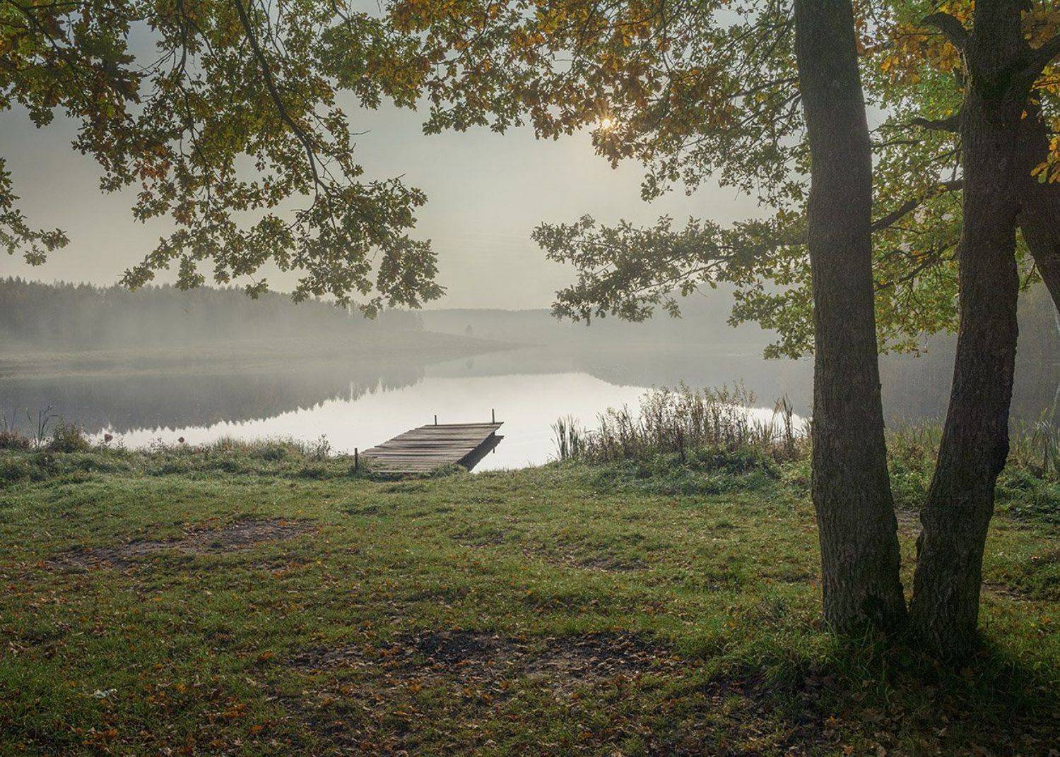 , Анатолий Зверев
