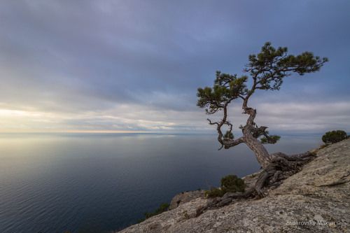 Классика Крыма