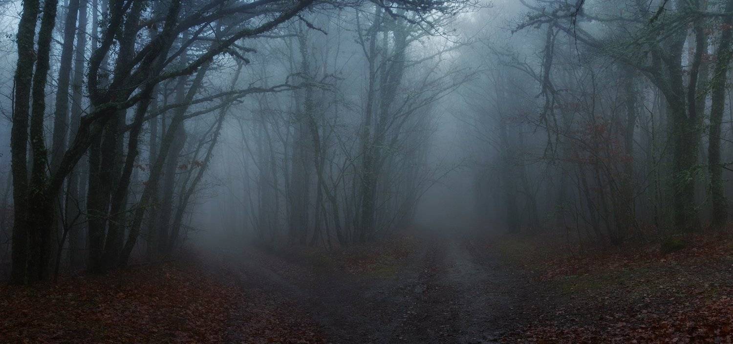 осень, горы, туман, дороги, распутье, Вьюшкин Игорь