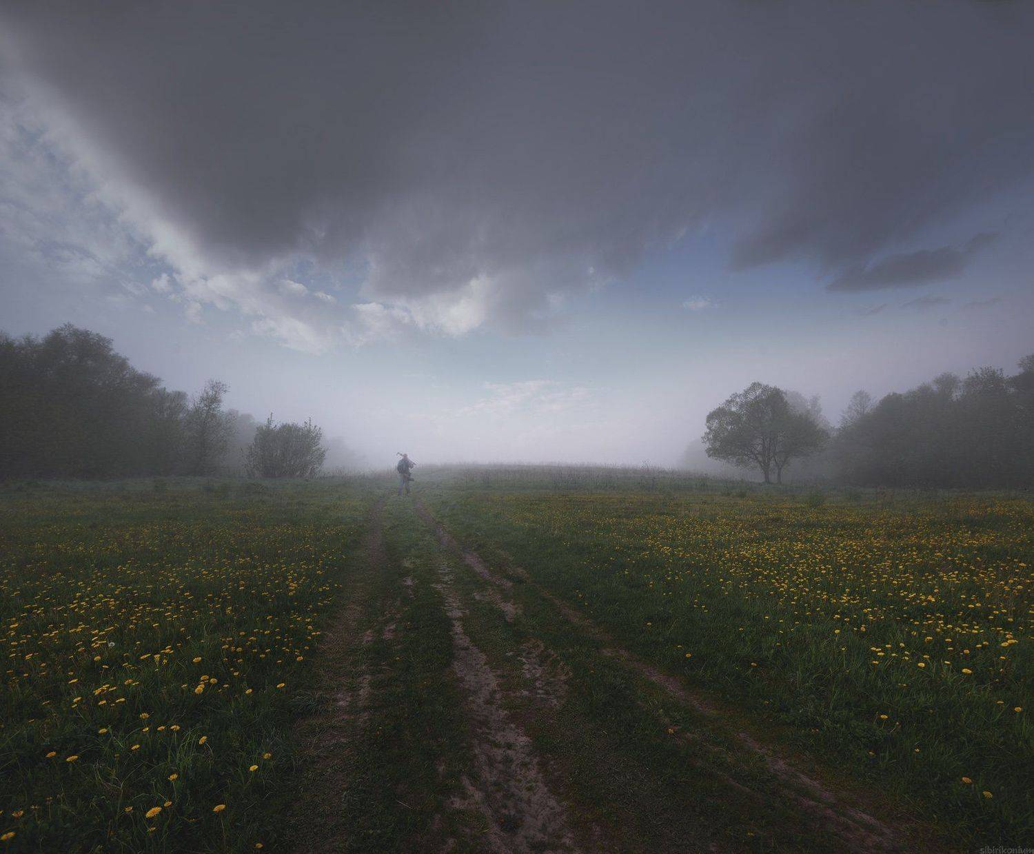 туман рассвет небо поле лес человек утро , Морозов Юрий