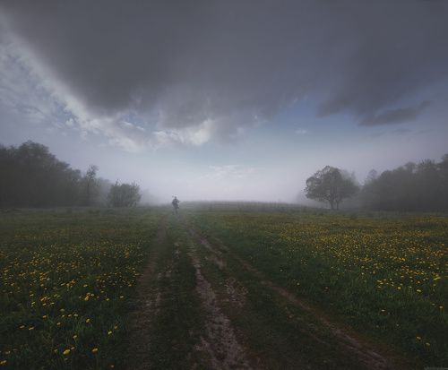 / В туман... /