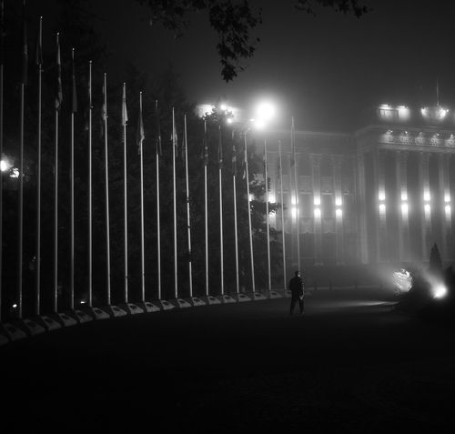Туманная прогулка
