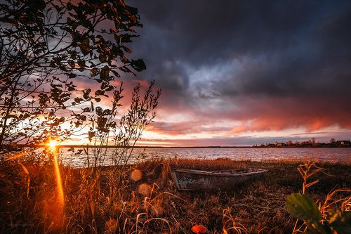 Золото заката