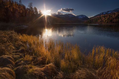 Осенний свет