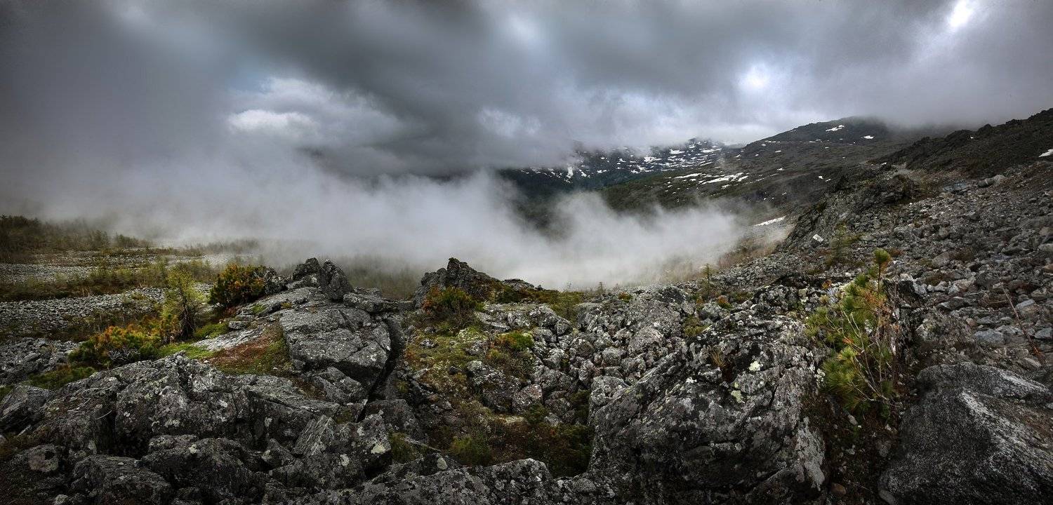 , Татьяна Борисова