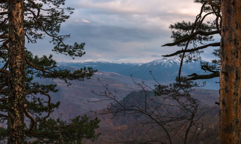 *** фото превью