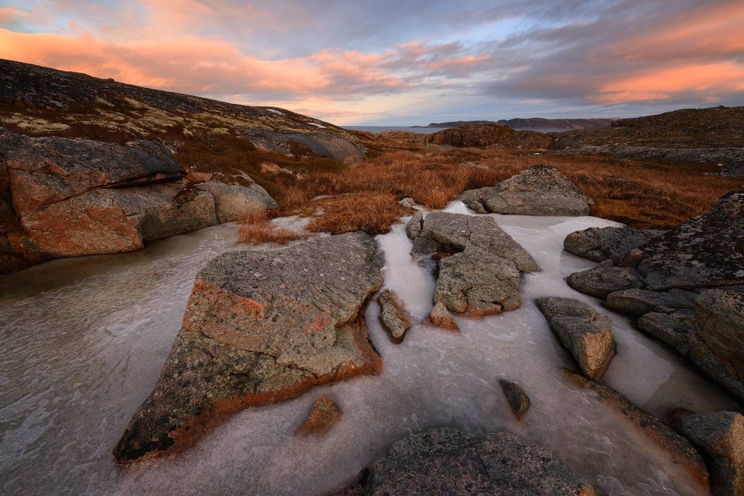 , Максим Евдокимов (www.wildphotorus.ru)
