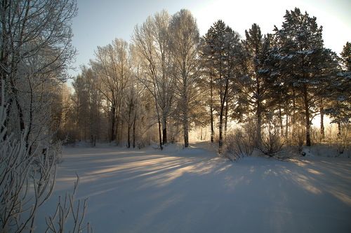 Предновогоднее настроение Сибирской зимы!