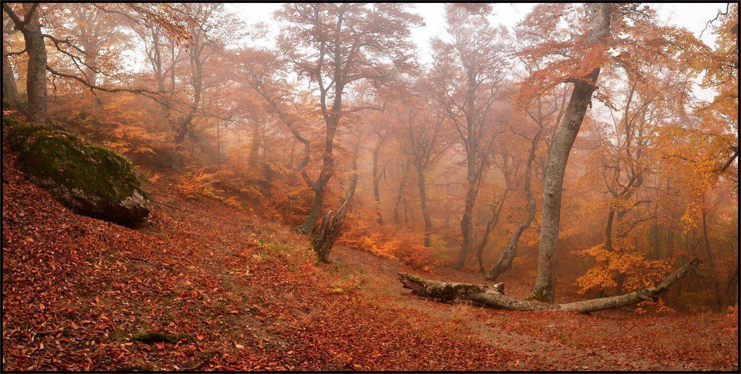, Владимир Метцгер