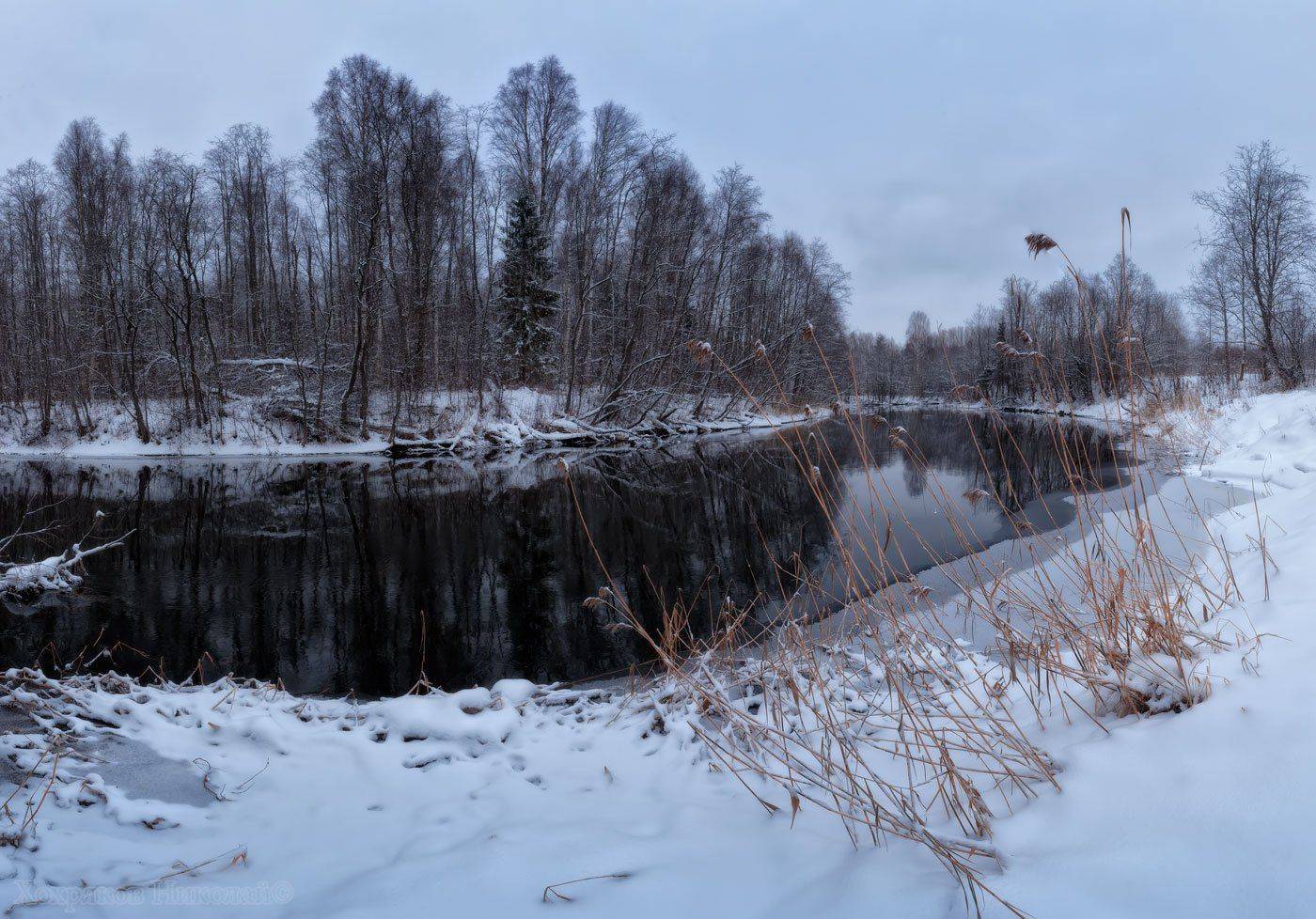 , Хохряков Николай