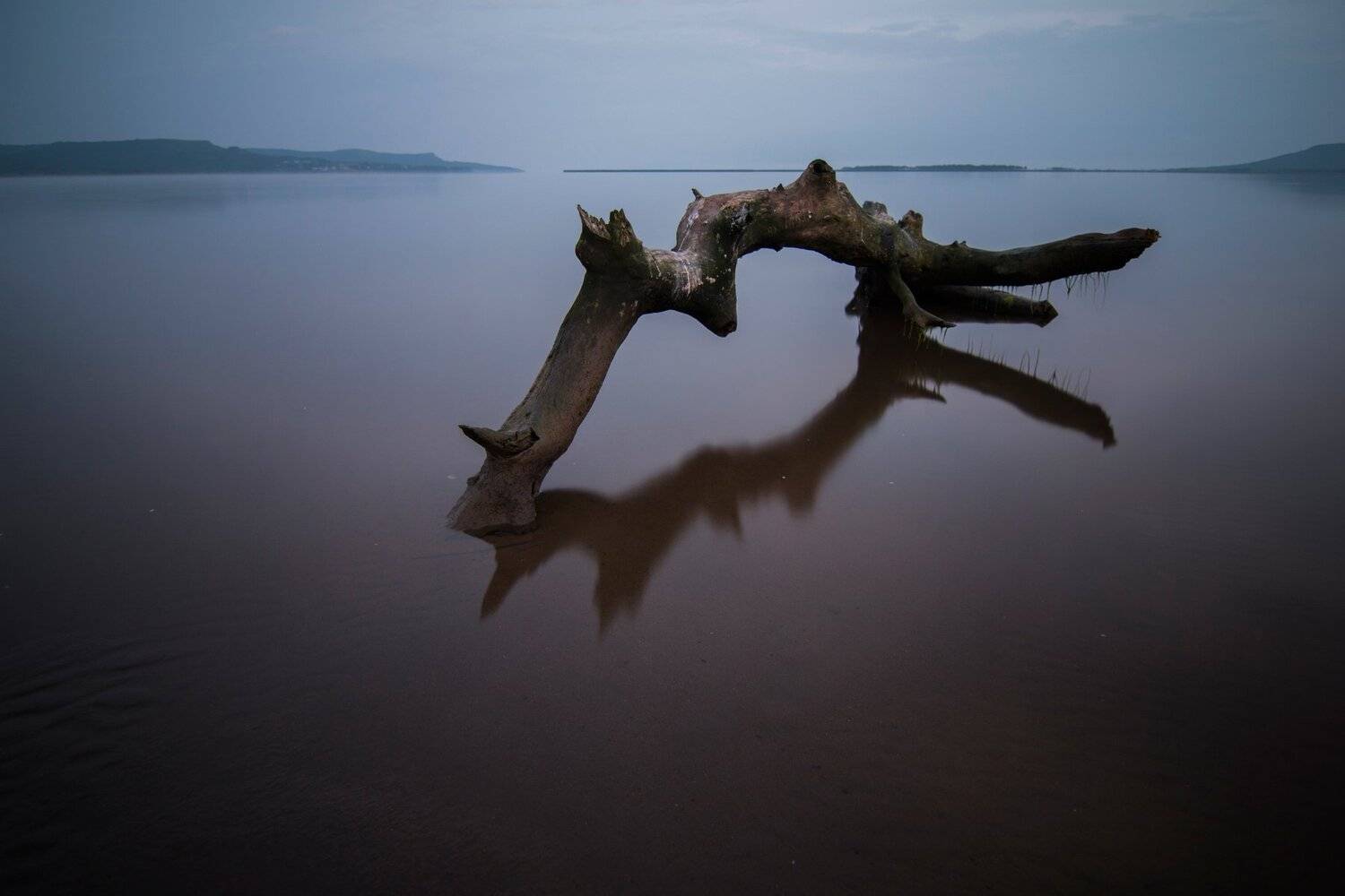 , Сигида Дмитрий