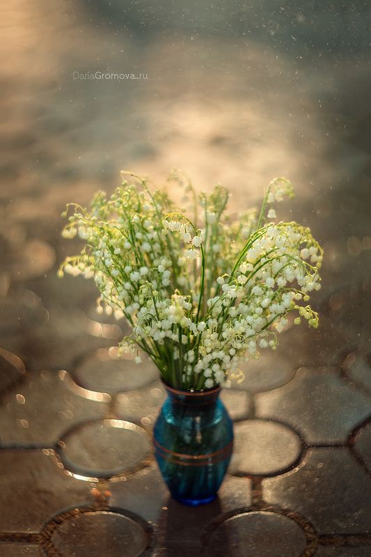 боке, ручной обьектив, мануальная оптика, фотограф, фотосессия, натюрморт, фото, блики, цветы, гелиос, макро, ландыш, закат Любимый букет фото превью