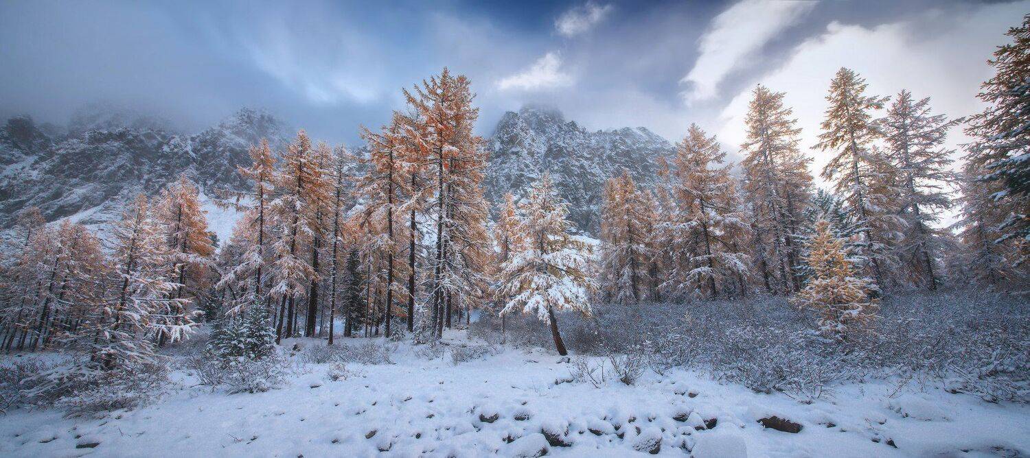 алтай, горы, осень, актру, зима, Владимир Ляпин