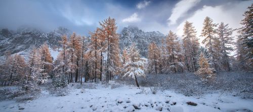 С первым снегом.