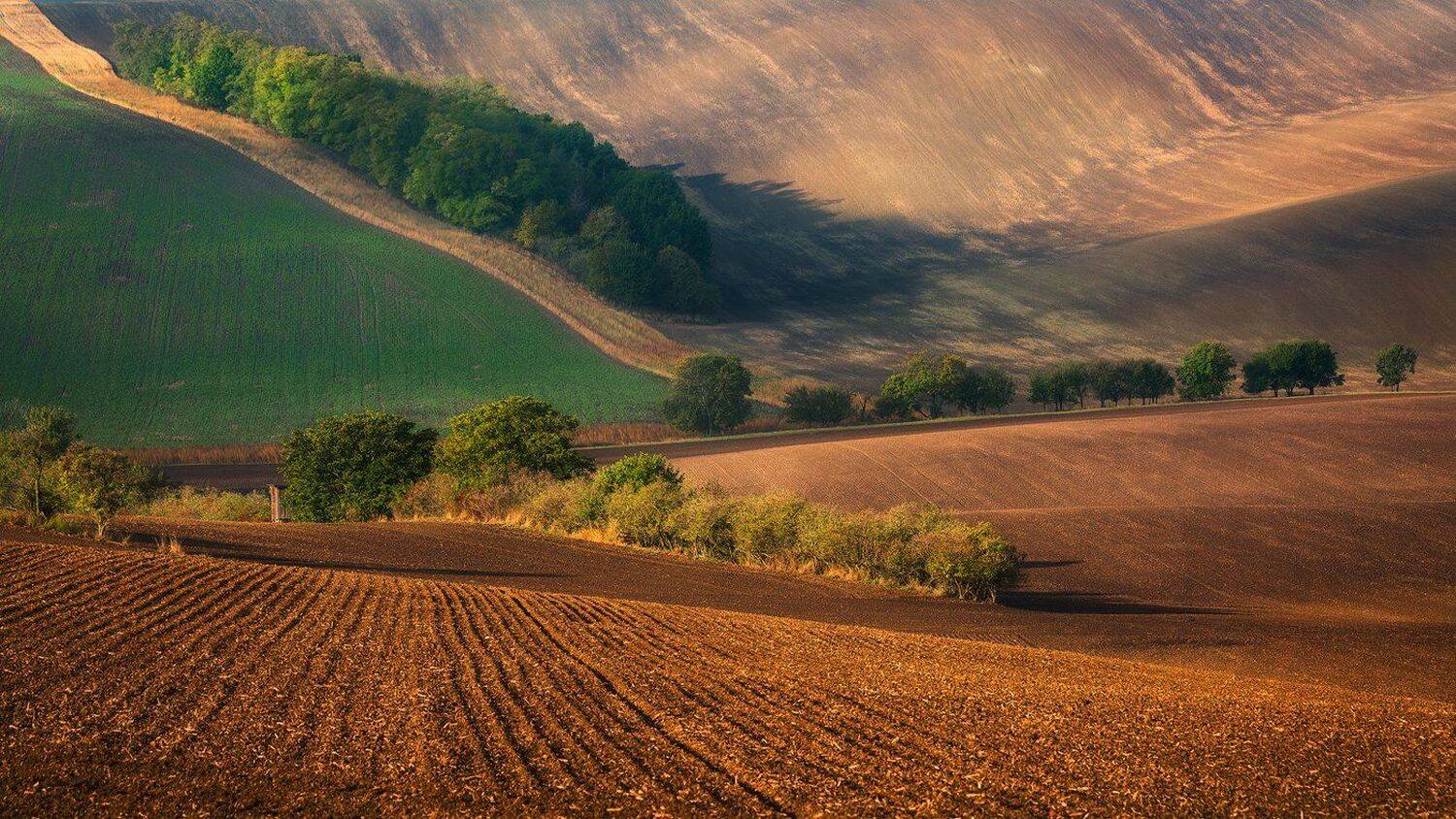 landscape,canon,moravia,light,spring, Iza,Darek