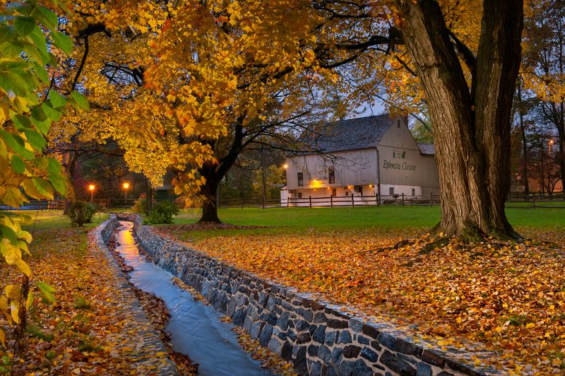 Reflecting Stream фото превью