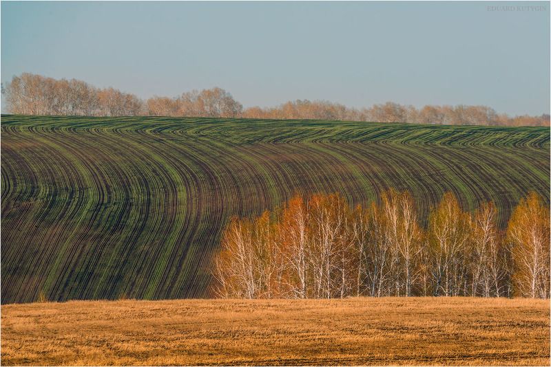 ... фото превью