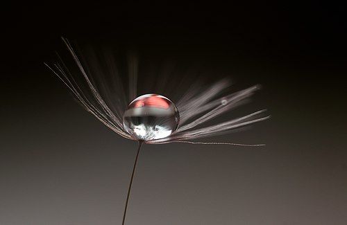 маленькая вселенная