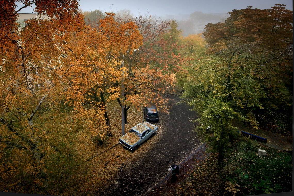 беларусь, город, минск, осень, листопад, фотосфера-минск, Melnik-oy Serg-N-