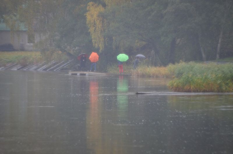 Временами местами дожди... фото превью