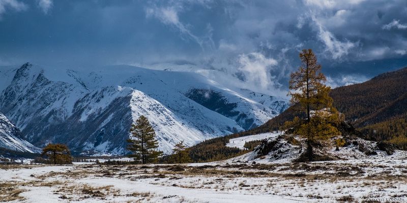 алтай, сибирь, россия, осень, горы, снег, природа, пейзаж, altai, siberia, russia, autumn, mountains, snow, nature, landscape На границе времён года фото превью