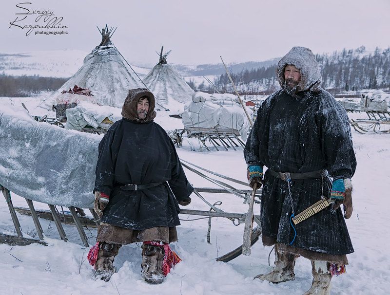 полярный урал, ямал, олени, оленеводы, ненцы Гость из соседнего стойбища фото превью