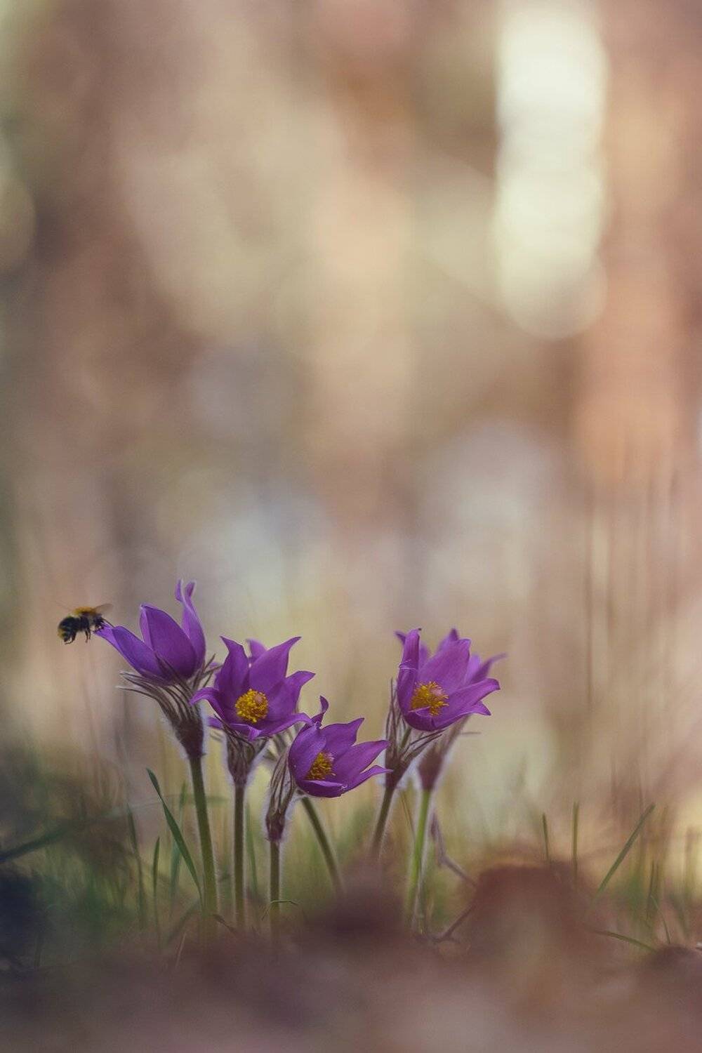 , Кузнецов Дмитрий