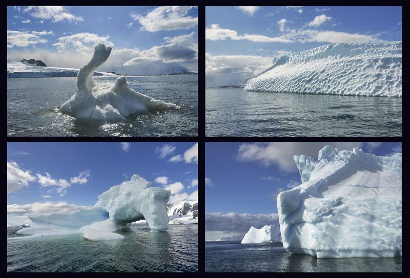Чуды-Юды Антарктики фото превью