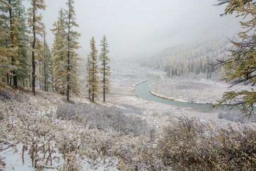 Нарния уже здесь