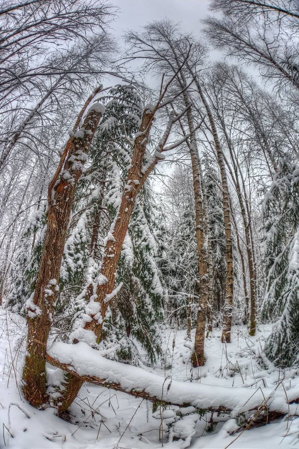 , Сергей Кузнецов