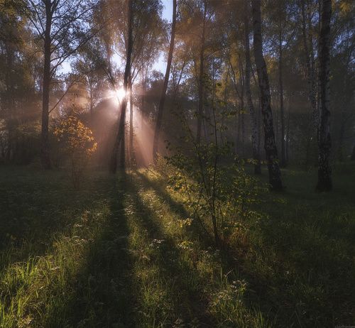 / В лучах... /