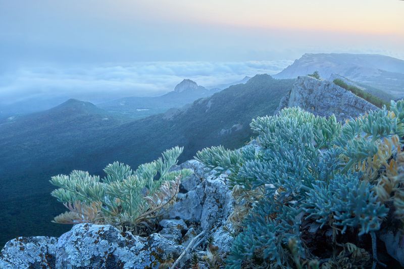 Ат-Баш Ай-Петри Крым Ат-Баш. Ай-Петри. Крым. фото превью