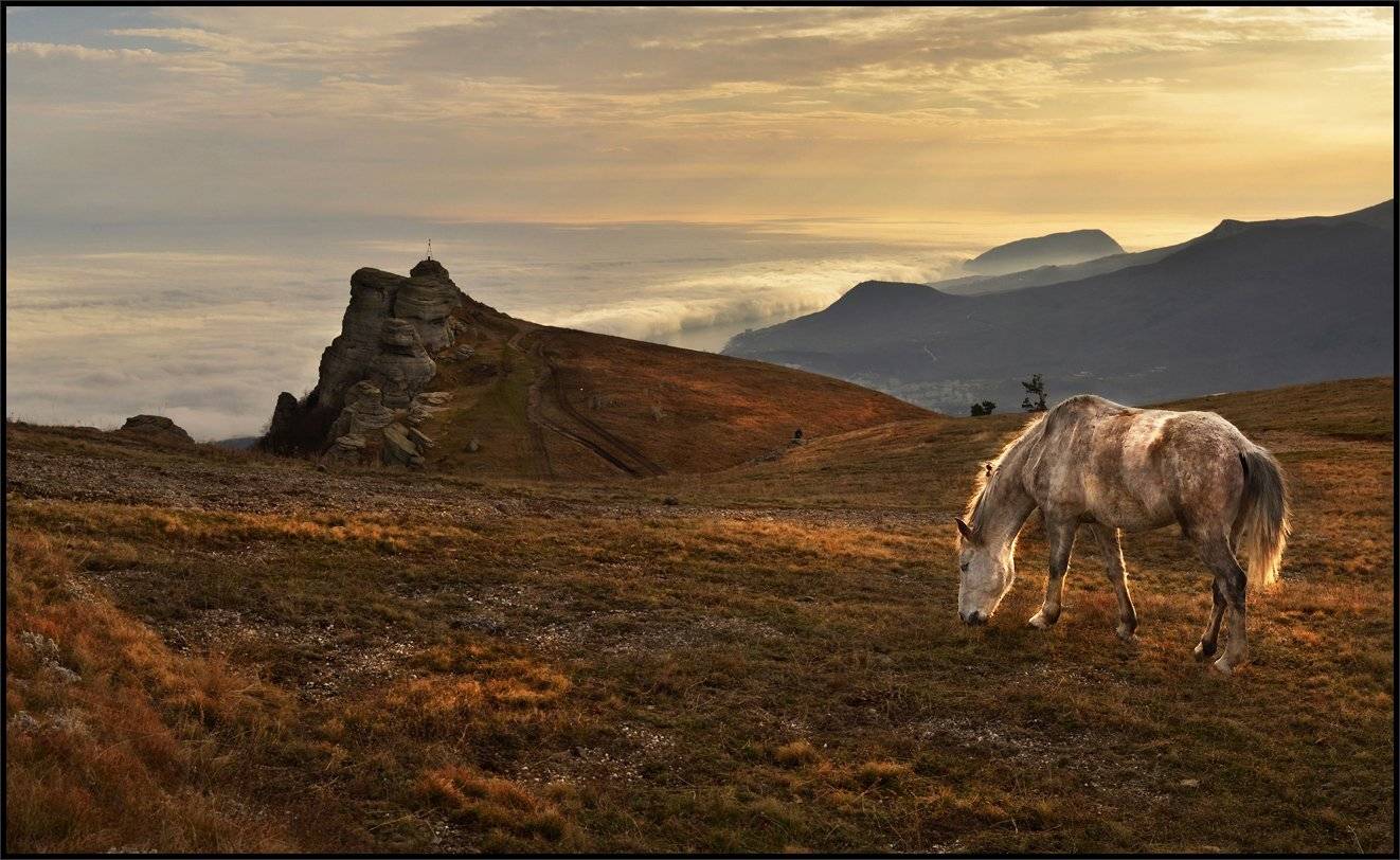 крым, вершина южной демирджи, г.аю-даг, г. кастель, конь, Владимир Метцгер