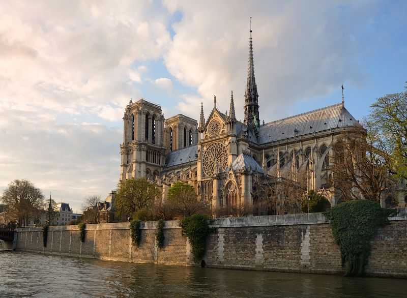 cathédrale, notre-dame, paris  фото превью