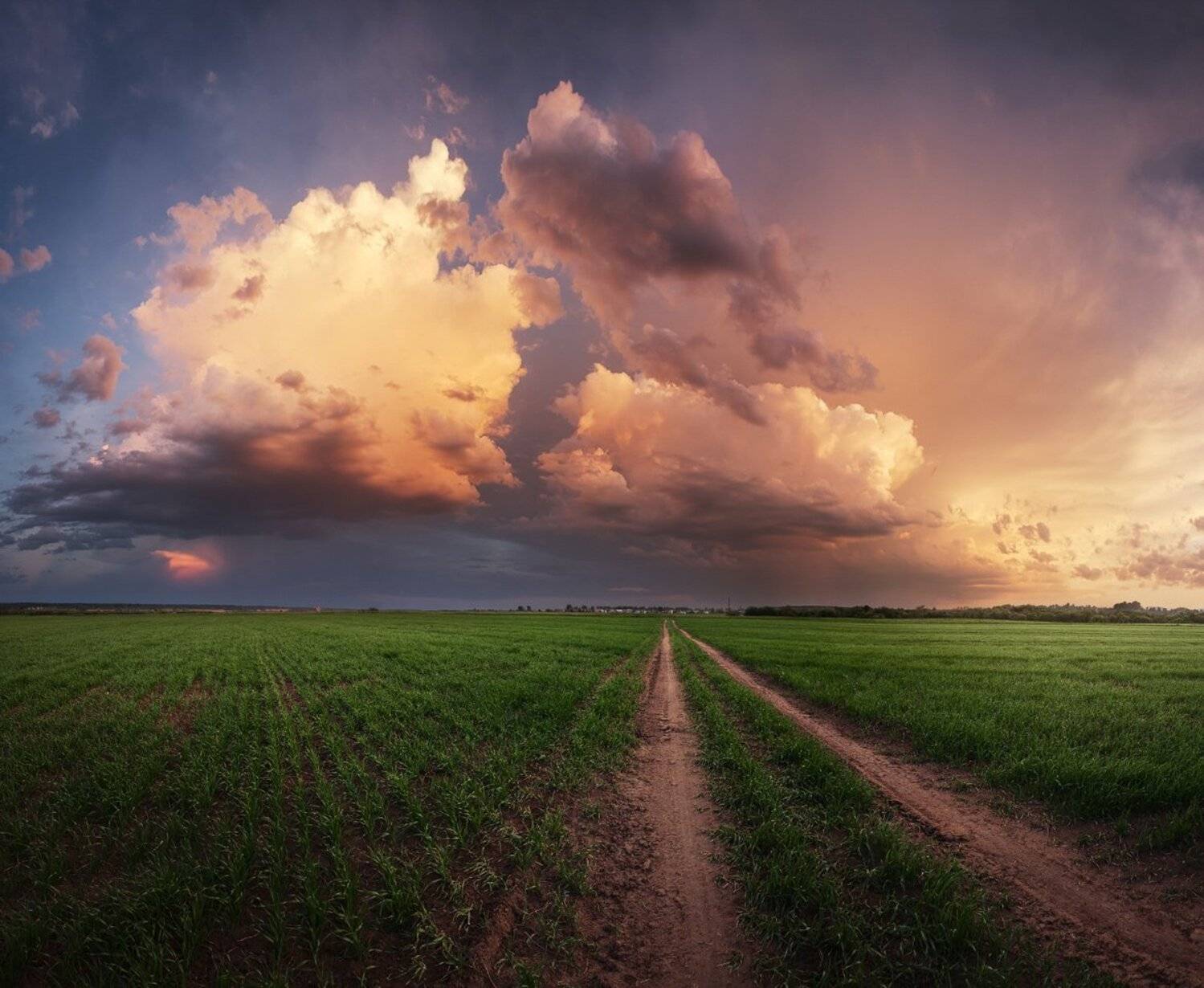 Дорога, поле, закат, луг, облака, гроза, вечер, весна, небо, Смольский Евгений
