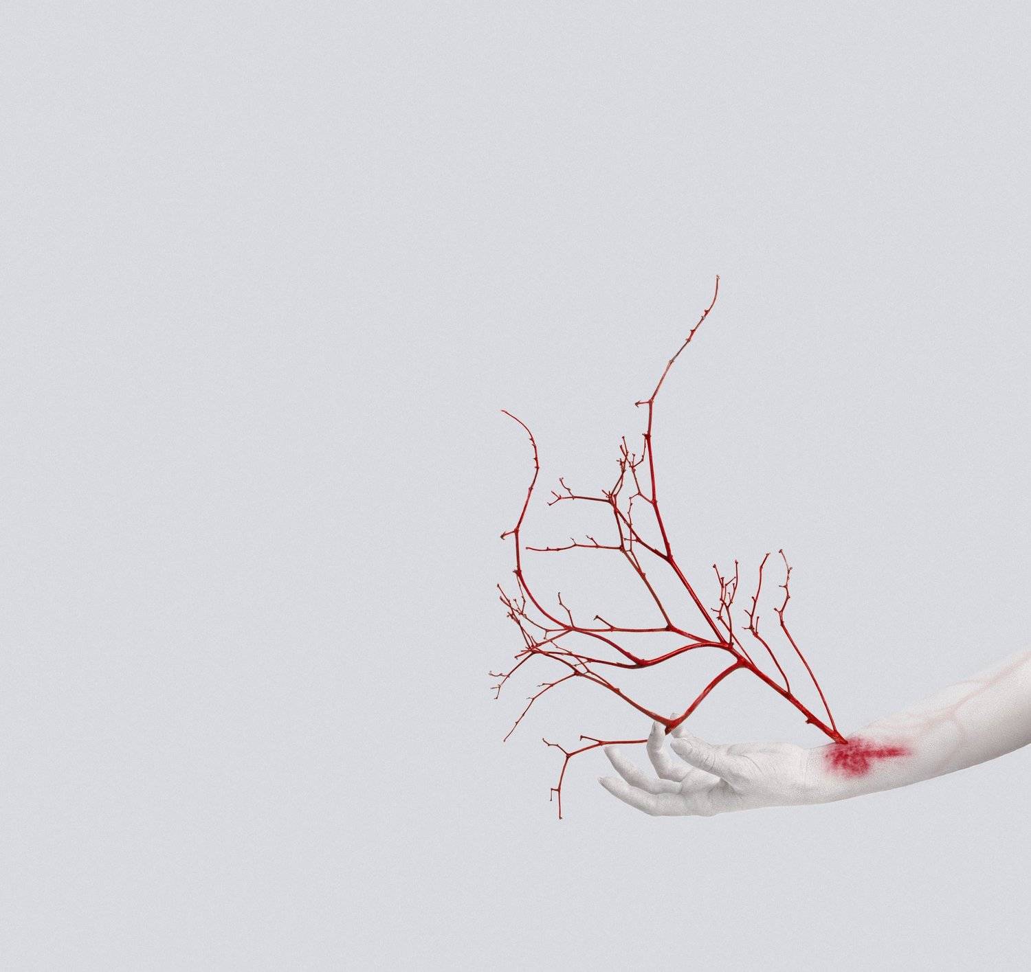 вены, рука, дерево, аллегория, креатив,, Наталья Голубева