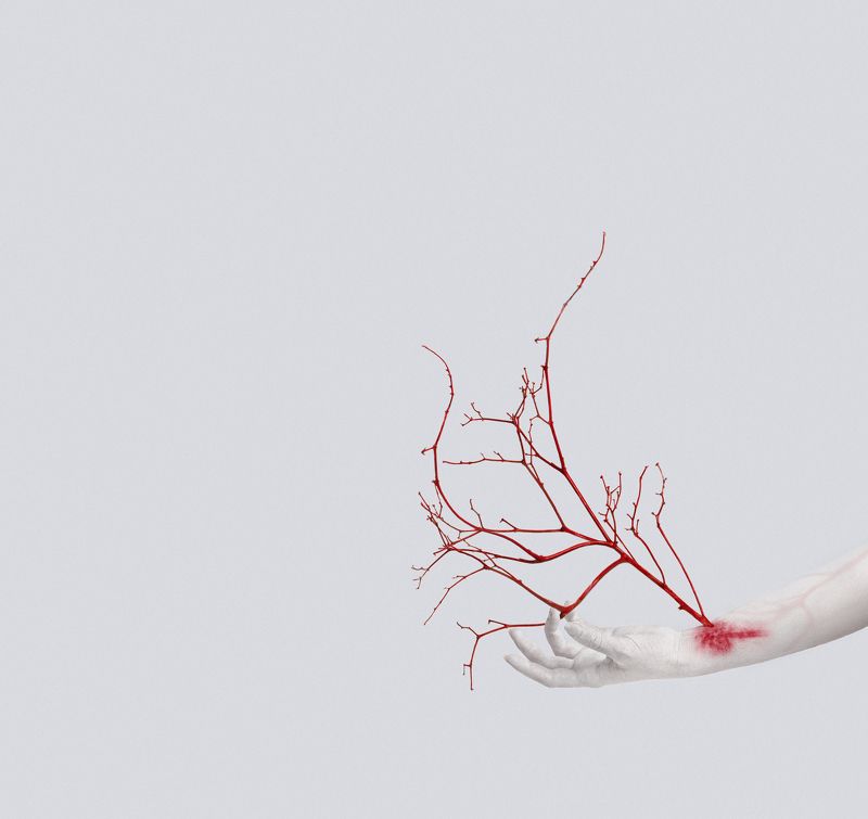 вены, рука, дерево, аллегория, креатив, VEINS фото превью