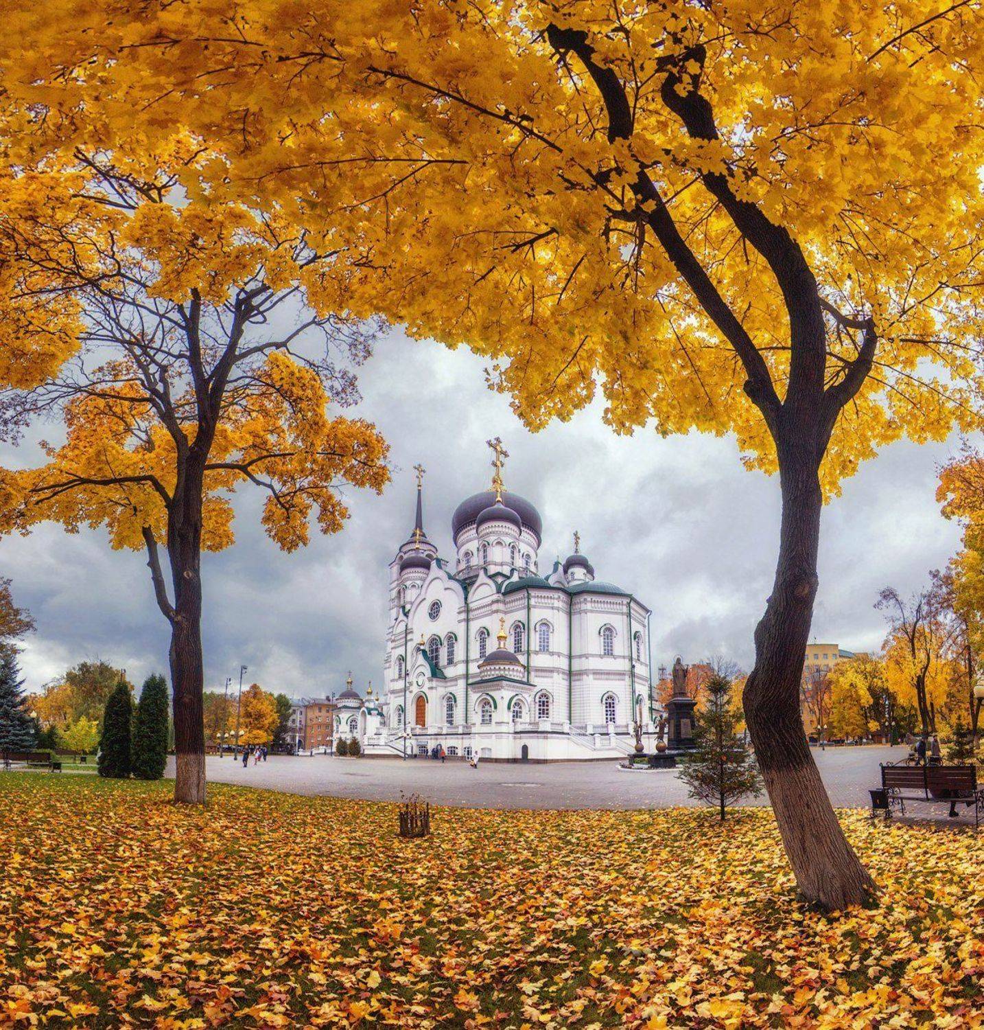 собор, архитектура, воронеж, осень, Тимур Подколзин