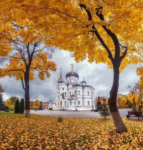 Благовещенский собор в осенней листве