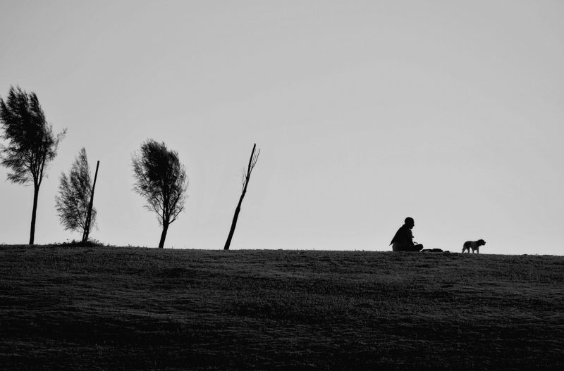 friends ...#2 фото превью