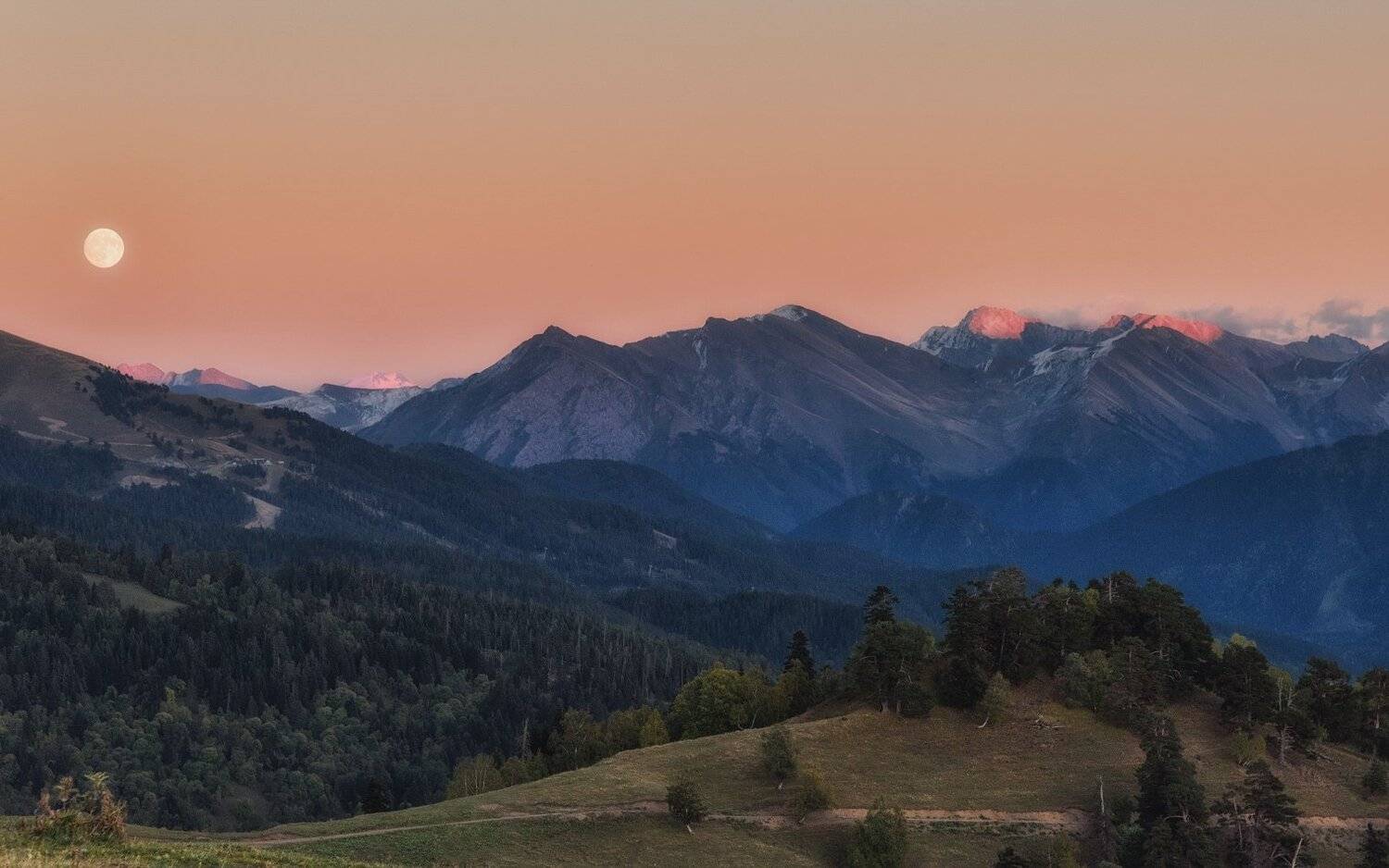 , Александр Круль