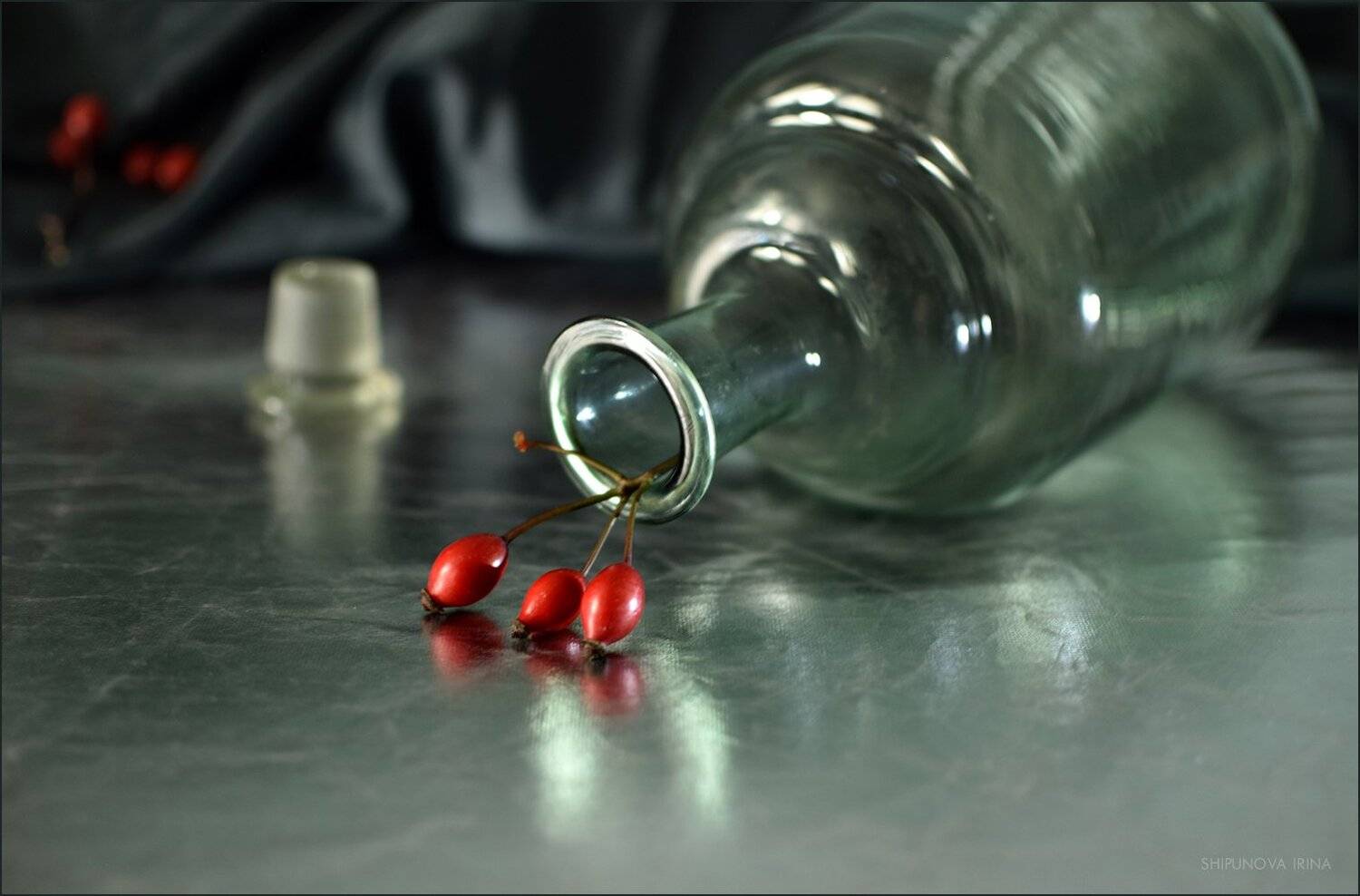 , Шипунова Ирина