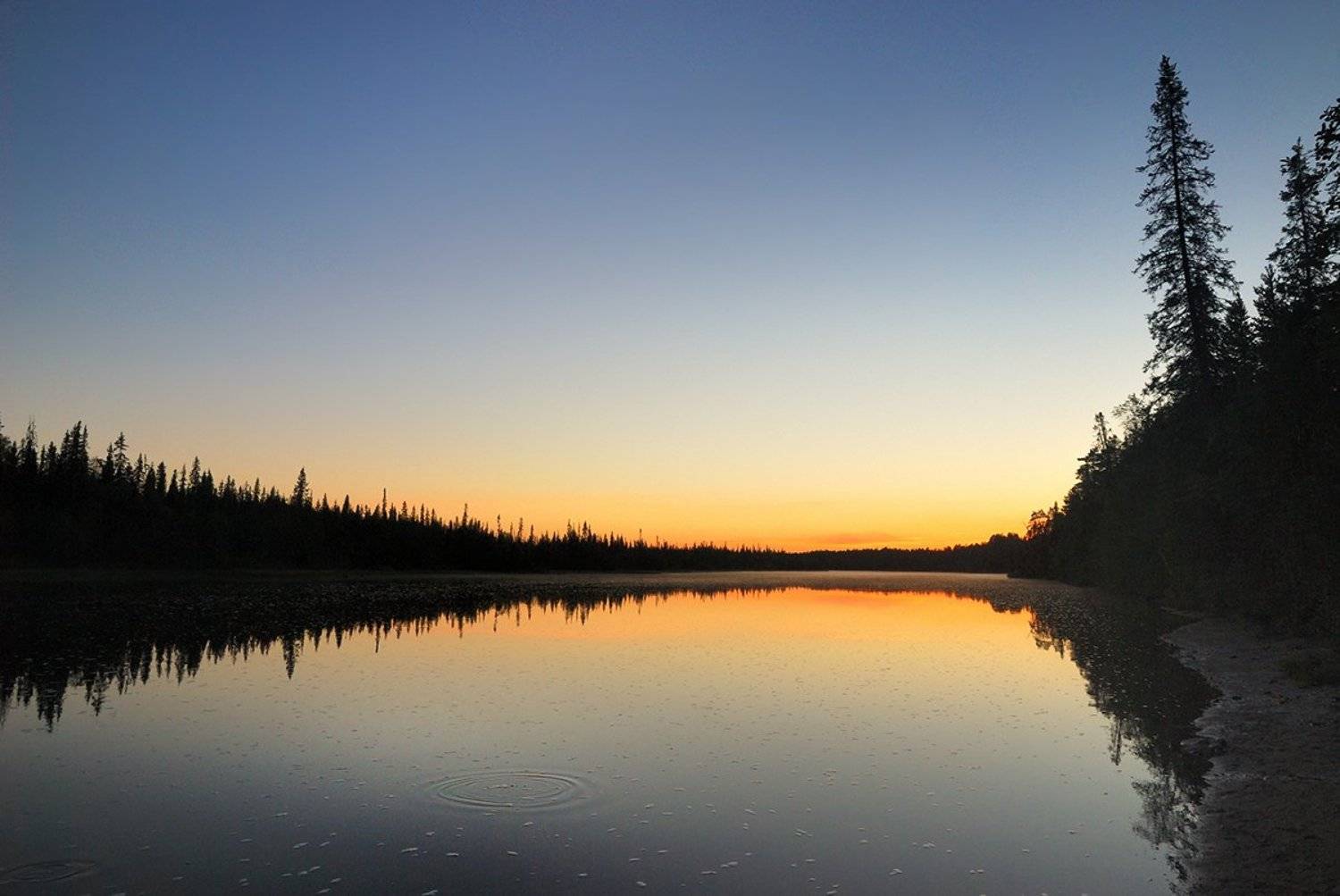 умба, кольский, белые, ночи, река, лес, Лопухов Сергей