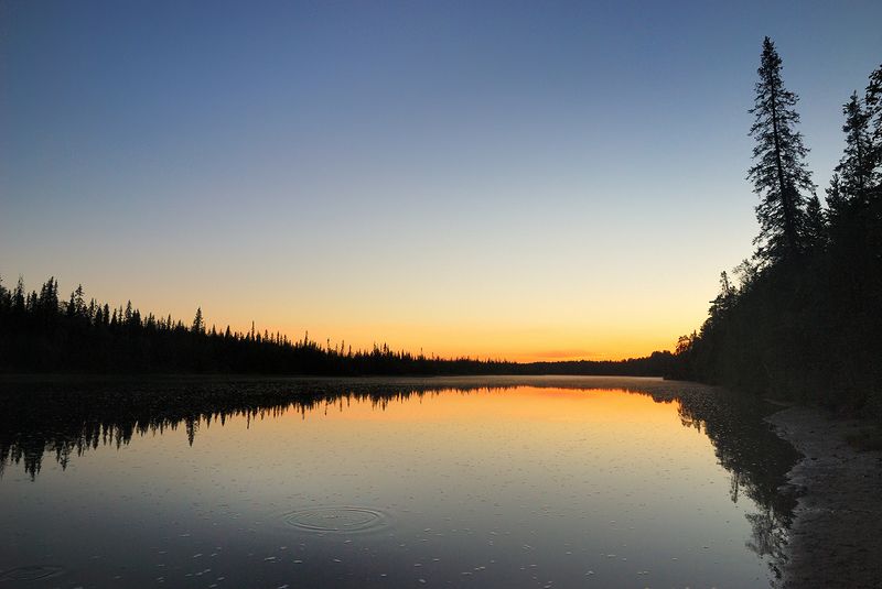 умба, кольский, белые, ночи, река, лес Ранний рассвет на Умбе фото превью