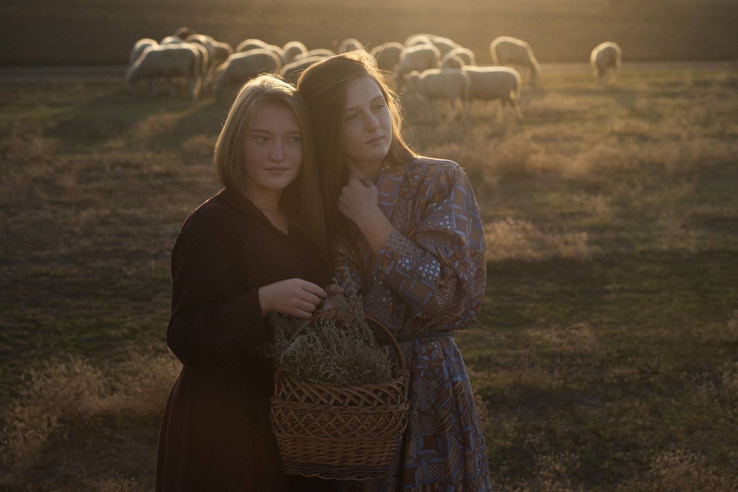 девушки, деревня, рассвет, бараны, пастухи, свет, Катарина Винниченко