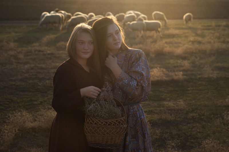 девушки, деревня, рассвет, бараны, пастухи, свет - Ох, какие ребята пошли... фото превью