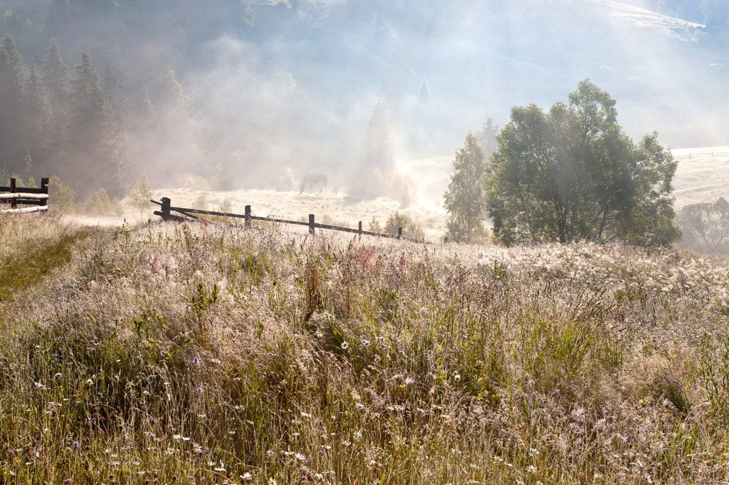 , Юлия Рублевская