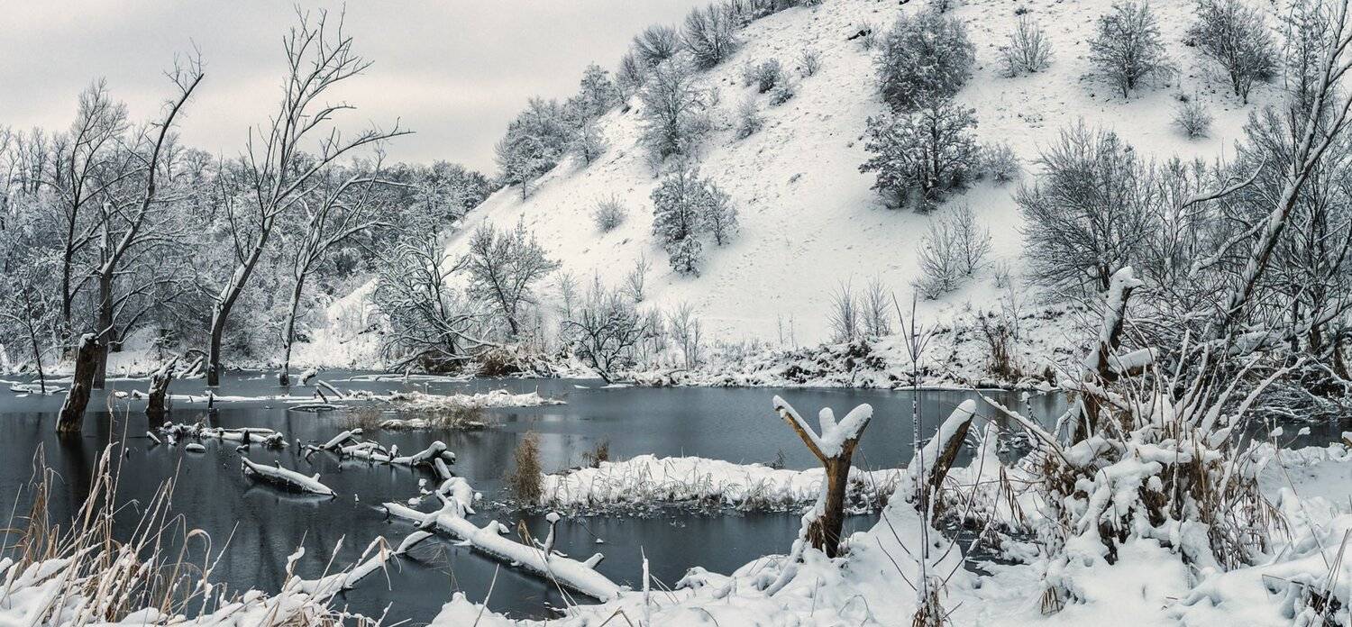 , Игорь Мелекесцев