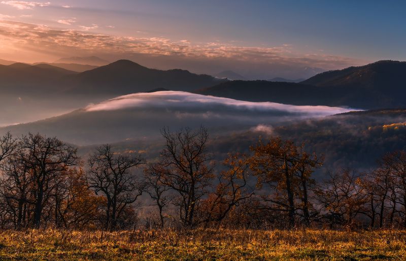 Про осень и ее туманы... фото превью