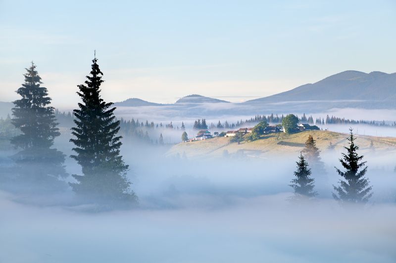 Затерянные в тумане фото превью